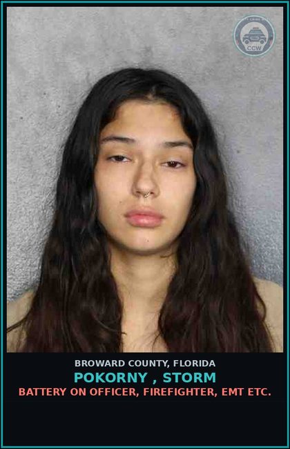 CCW arrest card for POKORNY , STORM in Broward County: VIOL INJUNCTION PROTECTION DOMESTIC VIOLENCE