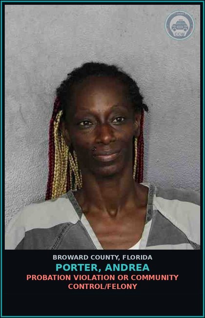 CCW arrest card for PORTER, ANDREA in Broward County: POSSESSION OF PVP