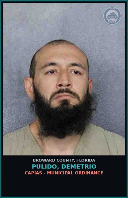 CCW arrest card for PULIDO, DEMETRIO in Broward County: CAPIAS - MUNICIPAL ORDINANCE