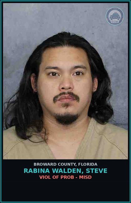 CCW arrest card for RABINA WALDEN, STEVE in Broward County: VIOL OF PROB - MISD