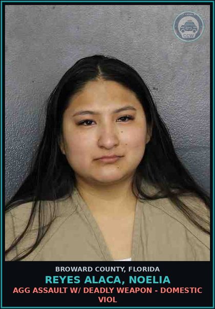 CCW arrest card for REYES ALACA, NOELIA in Broward County: AGG ASSAULT W/ DEADLY WEAPON - DOMESTIC VIOL