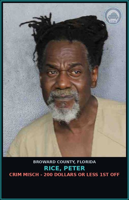 CCW arrest card for RICE, PETER in Broward County: CRIM MISCH - 200 DOLLARS OR LESS 1ST OFF