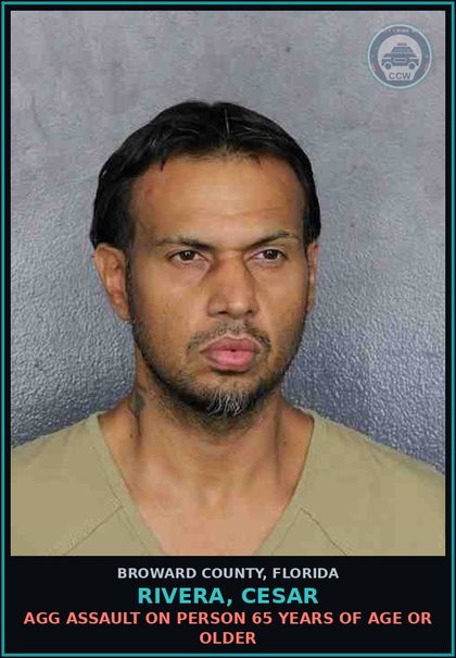 CCW arrest card for RIVERA, CESAR in Broward County: BATTERY ON PERSON 65 YEARS OF AGE OR OLDER