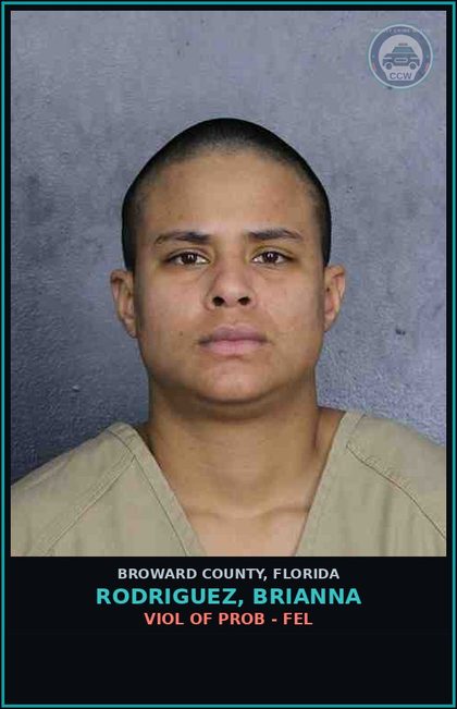 CCW arrest card for RODRIGUEZ, BRIANNA in Broward County: VIOL OF PROB - FEL