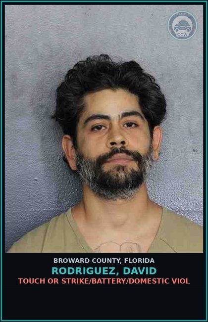 CCW arrest card for RODRIGUEZ, DAVID in Broward County: TOUCH OR STRIKE/BATTERY/DOMESTIC VIOL