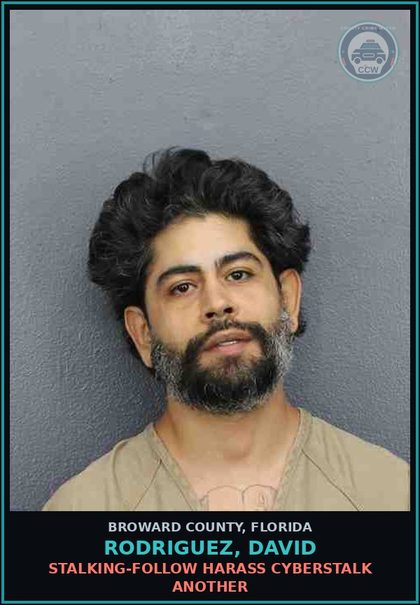 CCW arrest card for RODRIGUEZ, DAVID in Broward County: STALKING-FOLLOW HARASS CYBERSTALK ANOTHER