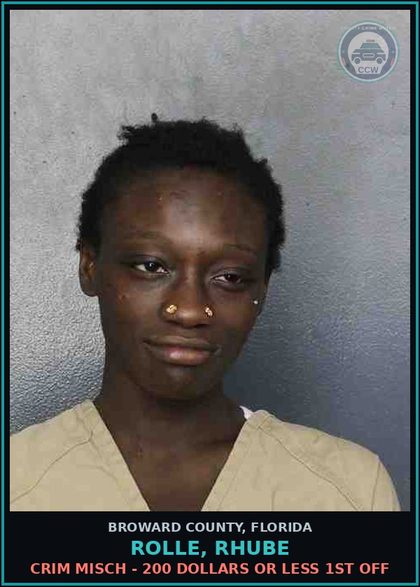 CCW arrest card for ROLLE, RHUBE in Broward County: CRIM MISCH - 200 DOLLARS OR LESS 1ST OFF
