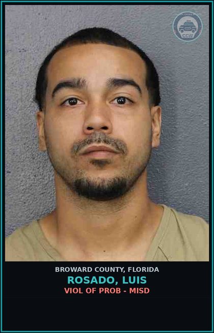 CCW arrest card for ROSADO, LUIS in Broward County: VIOL OF PROB - MISD