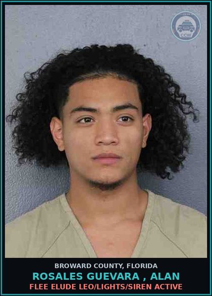 CCW arrest card for ROSALES GUEVARA , ALAN in Broward County: FLEE  ELUDE LEO/LIGHTS/SIREN ACTIVE