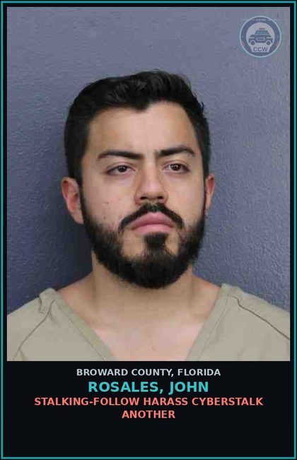 CCW arrest card for ROSALES, JOHN in Broward County: STALKING-FOLLOW HARASS CYBERSTALK ANOTHER