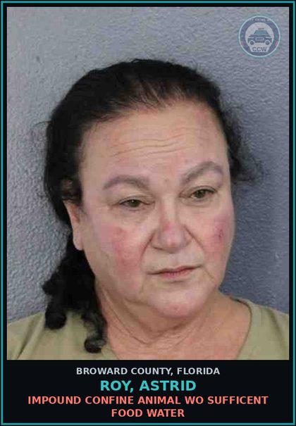 CCW arrest card for ROY, ASTRID in Broward County: IMPOUND CONFINE ANIMAL WO SUFFICENT FOOD WATER