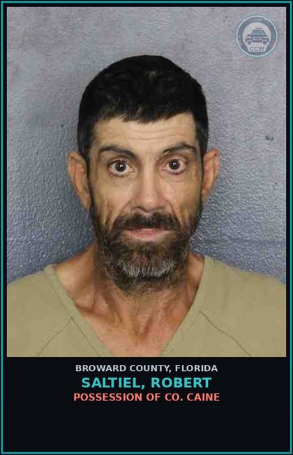 CCW arrest card for SALTIEL, ROBERT in Broward County: DRIVE W LIC FROM OTHER STATE WHEN FL LIC SUSP