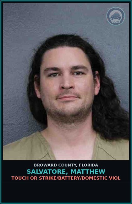 CCW arrest card for SALVATORE, MATTHEW in Broward County: TOUCH OR STRIKE/BATTERY/DOMESTIC VIOL