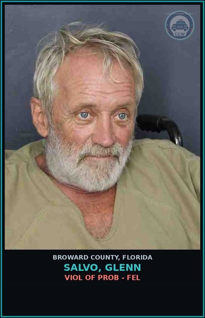 CCW arrest card for SALVO, GLENN in Broward County: VIOL OF PROB - FEL