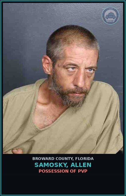 CCW arrest card for SAMOSKY, ALLEN in Broward County: POSSESSION OF PVP
