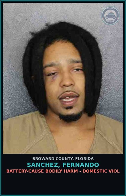 CCW arrest card for SANCHEZ, FERNANDO in Broward County: BATTERY-CAUSE BODILY HARM - DOMESTIC VIOL