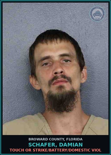 CCW arrest card for SCHAFER, DAMIAN in Broward County: TOUCH OR STRIKE/BATTERY/DOMESTIC VIOL