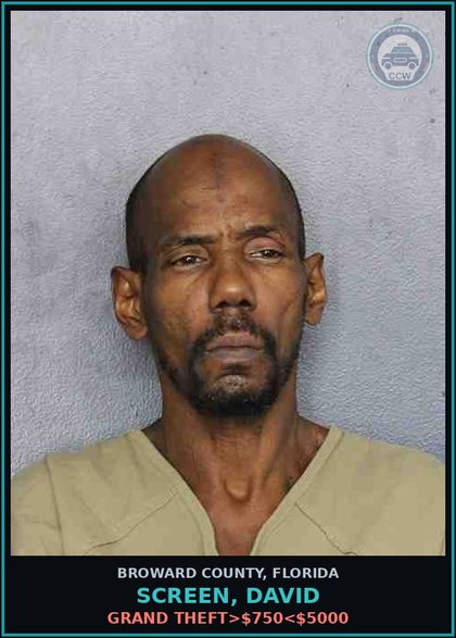 CCW arrest card for SCREEN, DAVID in Broward County: GRAND THEFT>$750<$5000