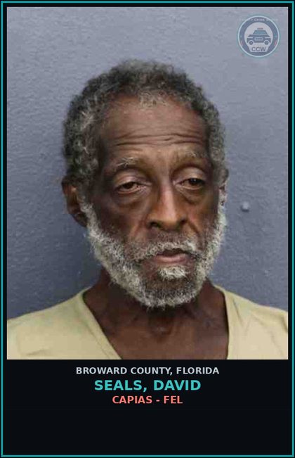 CCW arrest card for SEALS, DAVID in Broward County: CAPIAS - FEL