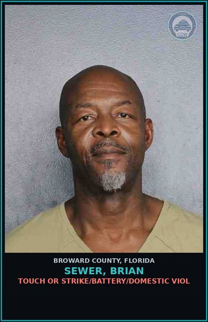 CCW arrest card for SEWER, BRIAN in Broward County: TOUCH OR STRIKE/BATTERY/DOMESTIC VIOL