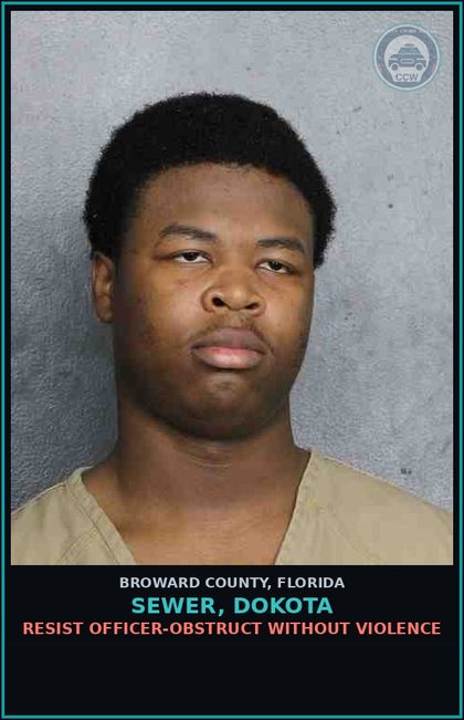 CCW arrest card for SEWER, DOKOTA in Broward County: CORRUPT BY THREAT PUBLIC SERVANT OR FAMILY
