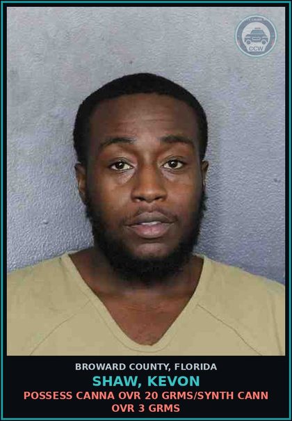 CCW arrest card for SHAW, KEVON in Broward County: POSSESS Canna OVR 20 GRMS/SYNTH CANN OVR 3 GRMS
