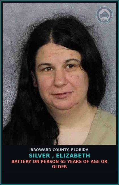 CCW arrest card for SILVER , ELIZABETH in Broward County: BATTERY ON PERSON 65 YEARS OF AGE OR OLDER