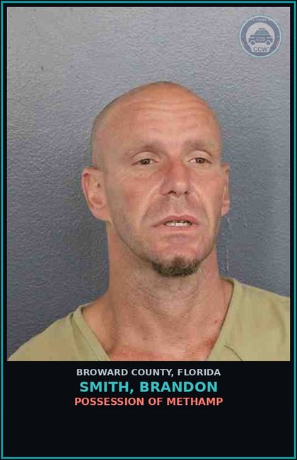 CCW arrest card for SMITH, BRANDON in Broward County: PETIT THEFT-2ND DEGREE - 3RD SUBSQ OFFENSE