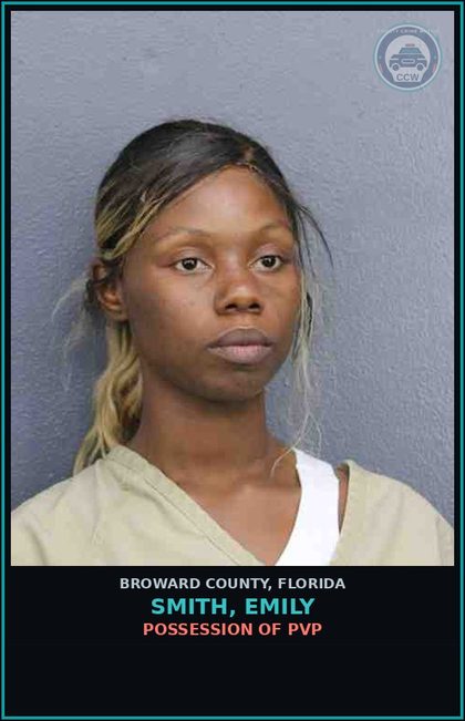 CCW arrest card for SMITH, EMILY in Broward County: COURT ORDER