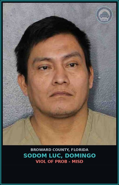 CCW arrest card for SODOM LUC, DOMINGO in Broward County: VIOL OF PROB - MISD