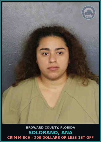 CCW arrest card for SOLORANO, ANA in Broward County: CRIM MISCH - 200 DOLLARS OR LESS 1ST OFF