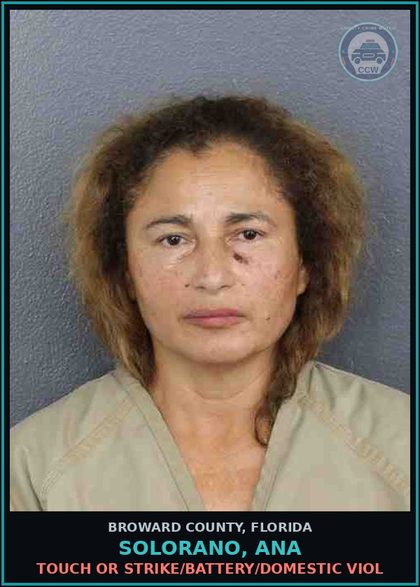 CCW arrest card for SOLORANO, ANA in Broward County: TOUCH OR STRIKE/BATTERY/DOMESTIC VIOL
