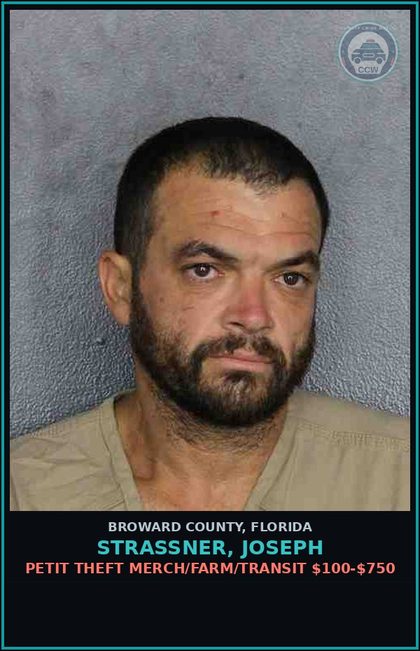 CCW arrest card for STRASSNER, JOSEPH in Broward County: PETIT THEFT MERCH/FARM/TRANSIT $100-$750