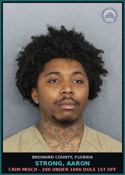 CCW arrest card for STRONG, AARON in Broward County: CRIM MISCH - 200 UNDER 1000 DOLS 1ST OFF
