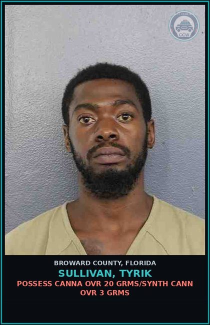 CCW arrest card for SULLIVAN, TYRIK in Broward County: POSSESS Canna OVR 20 GRMS/SYNTH CANN OVR 3 GRMS