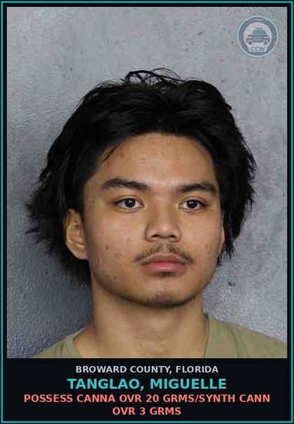 CCW arrest card for TANGLAO, MIGUELLE in Broward County: POSSESS Canna OVR 20 GRMS/SYNTH CANN OVR 3 GRMS