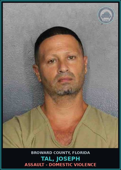 CCW arrest card for TAL, JOSEPH in Broward County: ASSAULT - DOMESTIC VIOLENCE