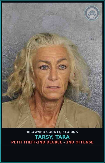 CCW arrest card for TARSY, TARA in Broward County: PETIT THEFT-2ND DEGREE - 2ND OFFENSE