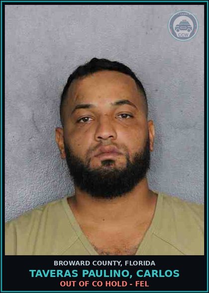 CCW arrest card for TAVERAS PAULINO, CARLOS in Broward County: OUT OF CO HOLD - FEL