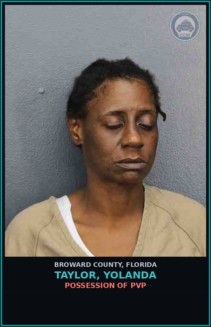 CCW arrest card for TAYLOR, YOLANDA in Broward County: POSSESSION OF PVP