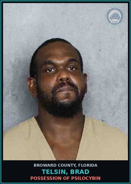 CCW arrest card for TELSIN, BRAD in Broward County: POSSESSION OF PSILOCYBIN