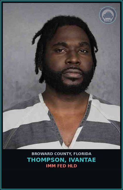 CCW arrest card for THOMPSON, IVANTAE in Broward County: IMM FED HLD