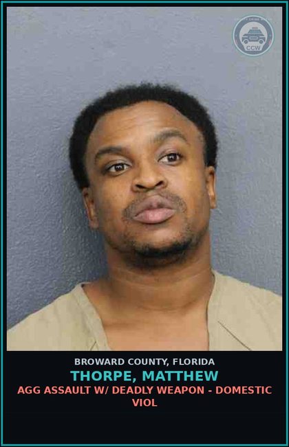 CCW arrest card for THORPE, MATTHEW in Broward County: TOUCH OR STRIKE/BATTERY/DOMESTIC VIOL