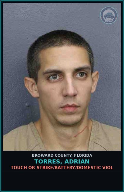 CCW arrest card for TORRES, ADRIAN in Broward County: TOUCH OR STRIKE/BATTERY/DOMESTIC VIOL