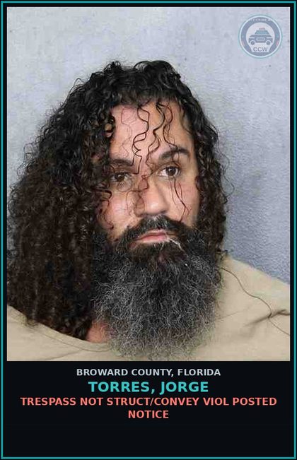 CCW arrest card for TORRES, JORGE in Broward County: DISORD CONDUCT-BREACH OF THE PEACE