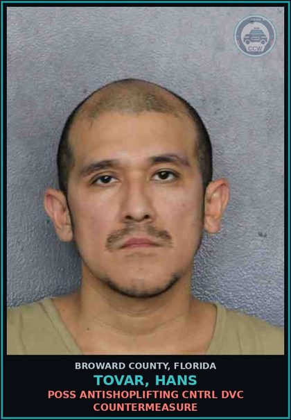 CCW arrest card for TOVAR, HANS in Broward County: PETIT THEFT-2ND DEGREE - 1ST OFFENSE