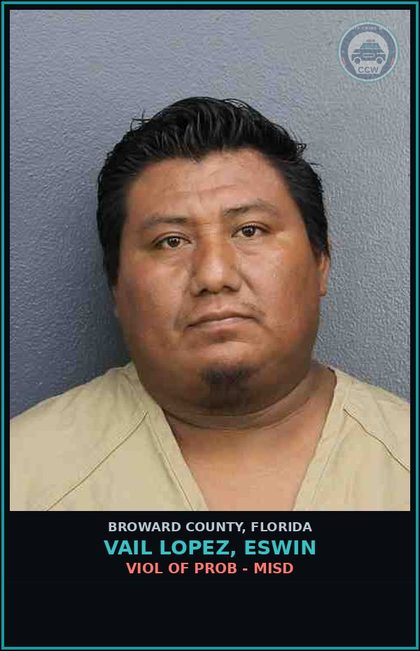 CCW arrest card for VAIL LOPEZ, ESWIN in Broward County: VIOL OF PROB - MISD