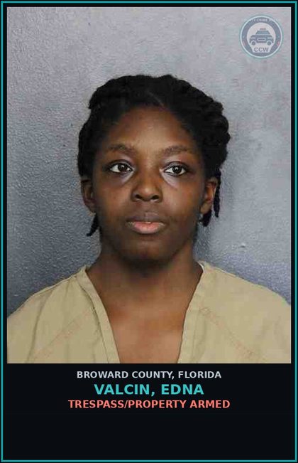 CCW arrest card for VALCIN, EDNA in Broward County: STALKING-FOLLOW HARASS CYBERSTALK ANOTHER