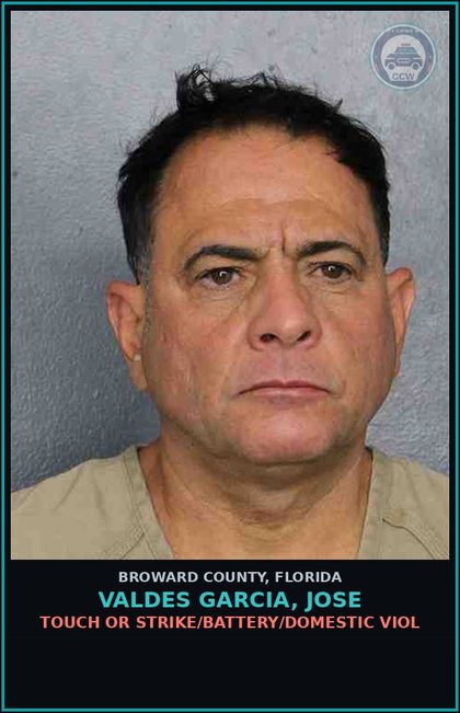 CCW arrest card for VALDES GARCIA, JOSE in Broward County: TOUCH OR STRIKE/BATTERY/DOMESTIC VIOL