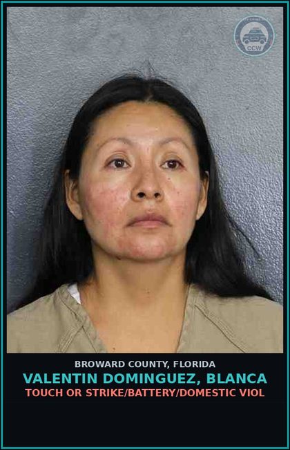 CCW arrest card for VALENTIN DOMINGUEZ, BLANCA in Broward County: TOUCH OR STRIKE/BATTERY/DOMESTIC VIOL